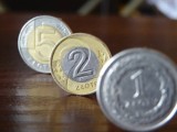 Do you have 2 zlotys in your wallet?  This coin can be worth a huge fortune.  One important detail.  research!